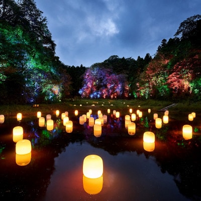 ãããŒã ã©ã 幜谷é ç°è·¡ãéè³ã»æž©æ³ä»ãã»ããåžã倧人(髿 ¡ç以äž)1ååããé
éäžå¯å°åïŒé¢å³¶ã»æ²çžçãã1600043ã