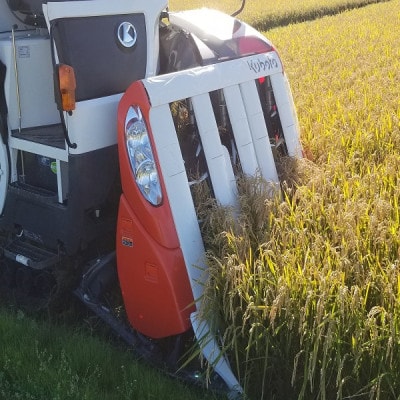 èšåçç£ããã²ããããã¯ã¹ çœç±³5kg 什å7幎ç£ãé
éäžå¯å°åïŒé¢å³¶ã»æ²çžçãã1700053ã