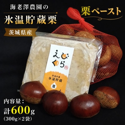 茨城県産 海老澤農園の氷温貯蔵栗使用 栗ペースト 計600g(300g×2袋)【配送不可地域：離島・沖縄県】【1745650】