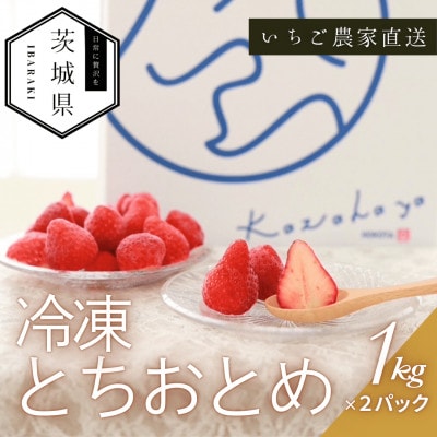 風早いちご園 とちおとめ 冷凍いちご2kg(1kg×2パック) 真空冷凍 長期保存【配送不可地域：離島・沖縄県】【1647801】