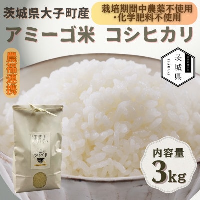 令和7年産新米 アミーゴ米3kg(コシヒカリ・天日干し)【自然の力　栽培期間中農薬・化学肥料不使用】【配送不可地域：離島・沖縄県】【1702216】