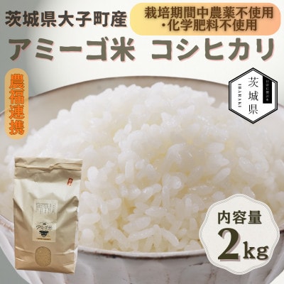 令和7年産新米 アミーゴ米2kg(コシヒカリ・天日干し)【自然の力　栽培期間中農薬・化学肥料不使用】【配送不可地域：離島・沖縄県】【1702214】