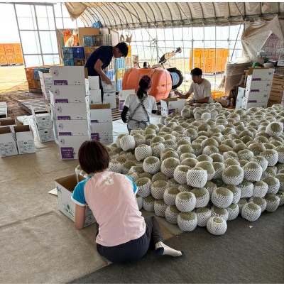 茨城県産メロン 茨城県オリジナル品種 イバラキング 2玉(3L)2026年5月下旬順次発送予定【配送不可地域：離島・沖縄県】【1701968】