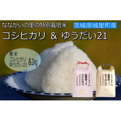 令和6年産【特別栽培米】「コシヒカリ」＆「ゆうだい21」精米セット4kg(2kg×2袋)【1557707】