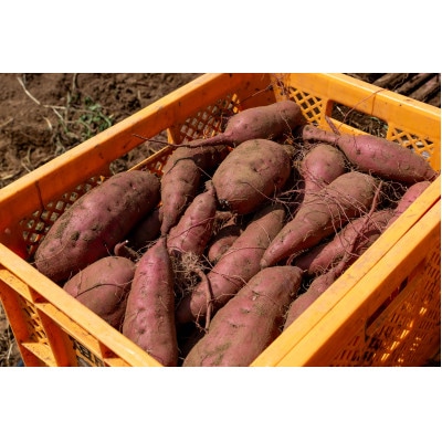 ねっとり食感 干し芋紅はるか 150g×4パック【配送不可地域：離島・沖縄県】【1618101】