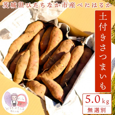 【先行受付・11月下旬〜発送】(訳あり)茨城県産 熟成貯蔵 さつまいも 紅はるか 土付5kg(箱込)【配送不可地域：離島・沖縄県】【1631626】