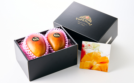 茨城県産 なめがたプリンセスマンゴー2L【400g以上】2個【配送不可地域：離島・沖縄県】【1647819】