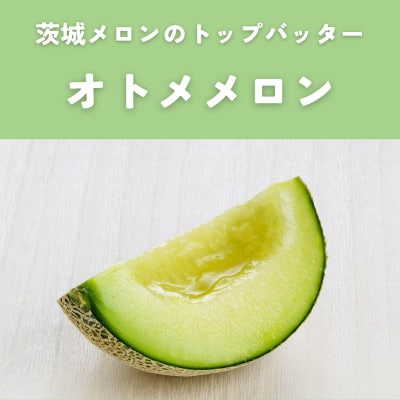 èšåçç£ãªãã¡ã»ã¯ã€ã³ã·ãŒã¡ãã³ã»ããåªåãŸãã¯ç§å3L以äž2çå
¥ã2026幎4æäžæ¬ä»¥éé æ¬¡çºéããé
éäžå¯å°åïŒé¢å³¶ã»åæµ·éã»æ²çžçã»äžåœã»ååœã»ä¹å·ãã1686249ã