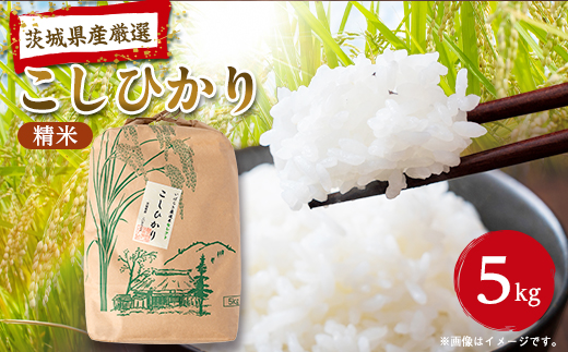 筑波山麓産米を中心に厳選した【茨城県産こしひかり】白米5kg 令和7年産【配送不可地域：離島・沖縄県】【1699599】