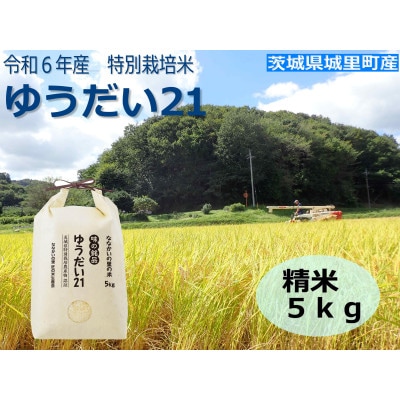 令和6年産【R5 いばらき米の極み頂上コンテスト受賞】特別栽培米「ゆうだい21」精米5kg【1557706】