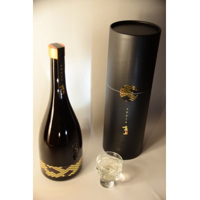 真上 AEGIS【配送不可地域：離島・沖縄県】【1602910】