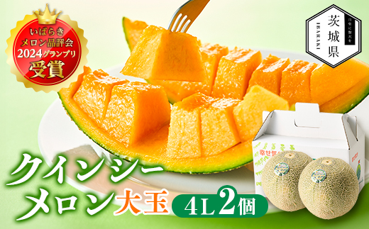 【先行受付】令和8年4月順次発送 茨城県鉾田市 山一ファーム クインシーメロン 大玉4L〜5L・2玉【配送不可地域：離島・沖縄県】【1590731】