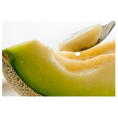 【令和5年 品質優良賞受賞】メロンの王様!イバラキング【特秀】2玉【配送不可地域：離島・沖縄県】【1691476】