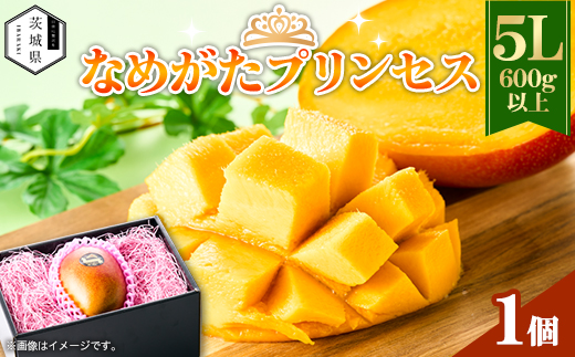 茨城県産 なめがたプリンセスマンゴー5L【600g以上】1個【配送不可地域：離島・沖縄県】【1647814】