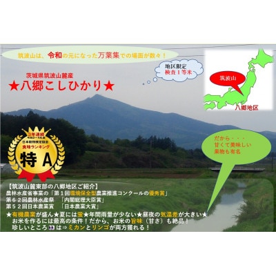 【玄米20kg⇒七分搗き米】筑波山麓厳選★検査1等米こしひかり【恋瀬姫の舞】令和7年産【配送不可地域：離島・沖縄県】【1733487】