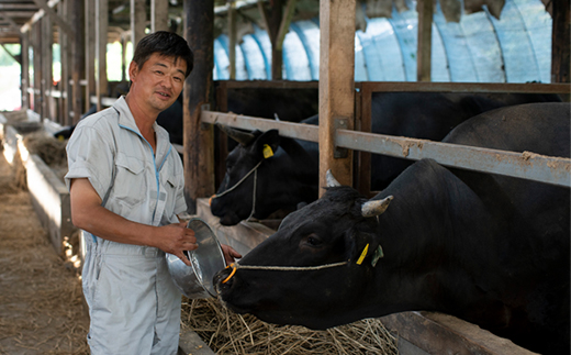 什å7å¹Žç£ èšåçç£ åžžéžç蟲家ãè²ãŠãã³ã·ãã«ãª 粟米 ç¡æŽç±³ åå
è£
300g(2å)Ã3è¢ãé
éäžå¯å°åïŒé¢å³¶ã»æ²çžçãã1601850ã