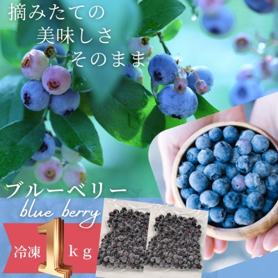 【茨城県産】冷凍ブルーベリー1kg(500g×2パック)【配送不可地域：離島・沖縄県】【1735249】