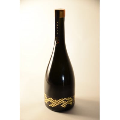 真上 AEGIS【配送不可地域：離島・沖縄県】【1602910】