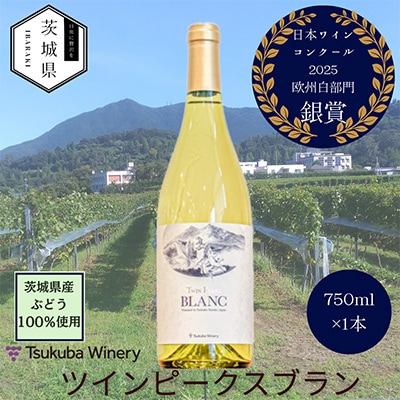 【離島・沖縄配送不可】つくばワイナリー ツインピークスブラン　750ml【配送不可地域：離島・沖縄県】【1691022】
