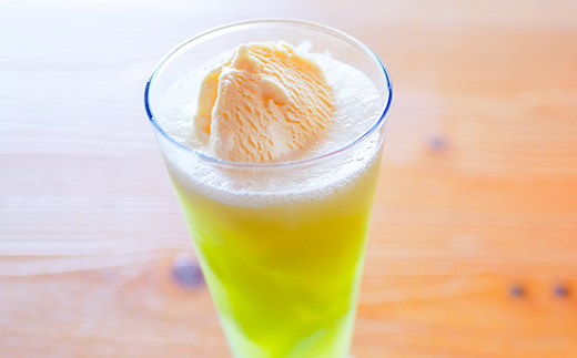 ベルファームの冷凍メロンジュース 茨城県産メロン100% 100g×15袋 【離島・沖縄配送不可】【配送不可地域：離島・沖縄県】【1443649】