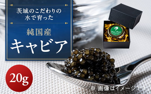 【先行予約】純国産キャビアVoeu-Pence　20g×1個【配送不可地域：離島・沖縄県】【1619559】