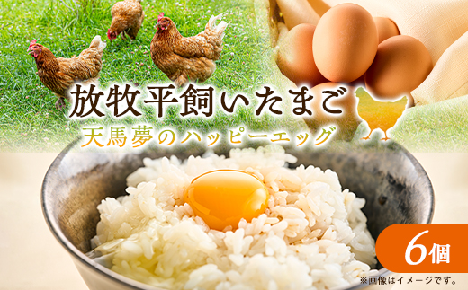 天馬夢のハッピーエッグ　6個【配送不可地域：離島・沖縄県】【1594978】