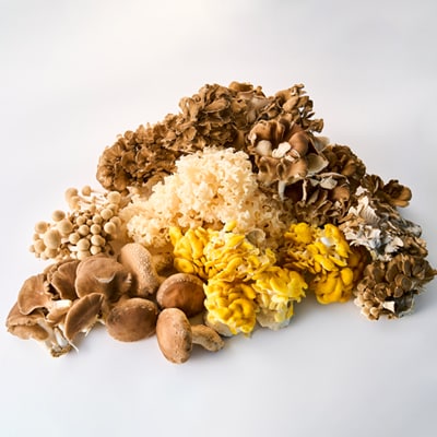 きのこの詰め合わせ　M(約1500g)【配送不可地域：離島・沖縄県】【1449115】