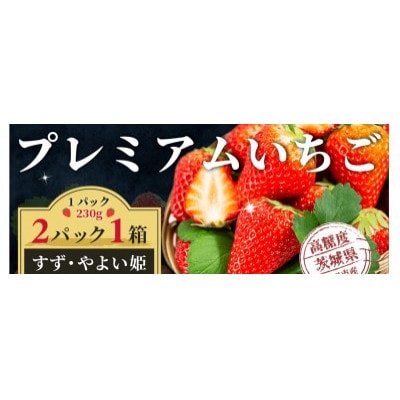 栽培期間中農薬を使用しないイチゴ　すず・やよい姫(各230g×1パック　合計2パック)【配送不可地域：離島・沖縄県】【1581350】