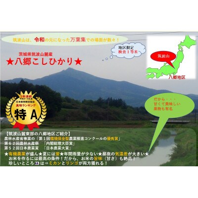 【玄米5kg⇒五分搗き米】筑波山麓厳選★検査1等米こしひかり【恋瀬姫の舞】令和7年産【配送不可地域：離島・沖縄県】【1700075】