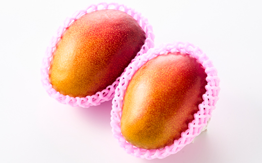 茨城県産 なめがたプリンセスマンゴー2L【400g以上】2個【配送不可地域：離島・沖縄県】【1647819】