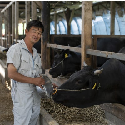 令和6年産 茨城県産 常陸牛農家が育てたコシヒカリ 精米 無洗米 個包装300g(2合)×3袋【配送不可地域：離島・沖縄県】【1601850】