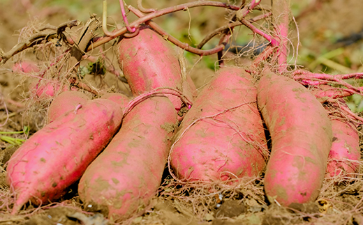 ã幞ç°ååºãã»ãããå¹³åã320gÃ6è¢è©°åããé
éäžå¯å°åïŒé¢å³¶ã»æ²çžçãã1590451ã