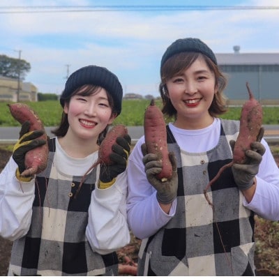 【先行受付・11月下旬〜発送】(訳あり)茨城県産 熟成貯蔵 さつまいも 紅はるか 土付5kg(箱込)【配送不可地域：離島・沖縄県】【1631626】