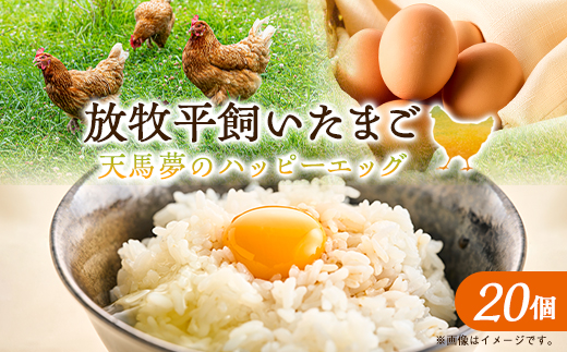 天馬夢のハッピーエッグ 20個【配送不可地域：離島・沖縄県】【1595009】