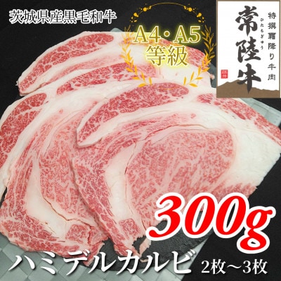 【常陸牛】ハミデルカルビ 300g(2〜3枚)【配送不可地域：離島・沖縄県】【1560446】