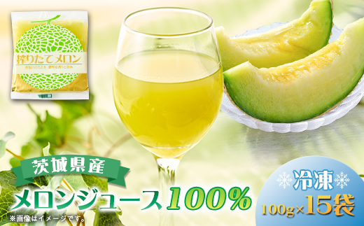 ベルファームの冷凍メロンジュース 茨城県産メロン100% 100g×15袋 【離島・沖縄配送不可】【配送不可地域：離島・沖縄県】【1443649】