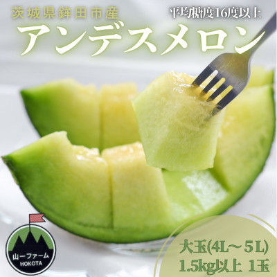 【先行受付】令和8年4月順次発送 茨城県鉾田市 山一ファーム アンデスメロン 大玉 4L〜5L・1玉【配送不可地域：離島・沖縄県】【1590727】