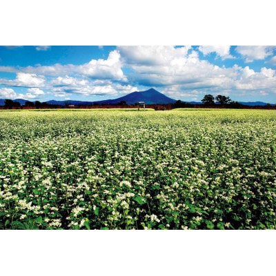 [手打そば満志粉] ランチペア【配送不可地域：離島・沖縄県】【1701173】