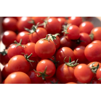 フルーツトマト1kg【配送不可地域：離島・沖縄県】【1706769】