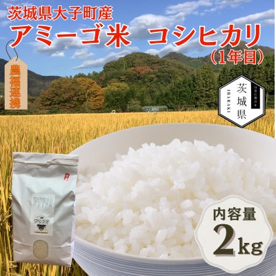 令和7年産新米 アミーゴ米2kg(コシヒカリ・天日干し米(1年目))栽培期間中農薬・化学肥料不使用【配送不可地域：離島・沖縄県】【1702219】