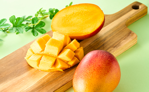 茨城県産 なめがたプリンセスマンゴー2L【400g以上】2個【配送不可地域：離島・沖縄県】【1647819】