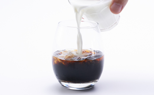 つくば市自家焙煎珈琲専門店　リキッドアイスコーヒー1本、カフェオレの素1本セット【配送不可地域：離島・沖縄県】【1589898】