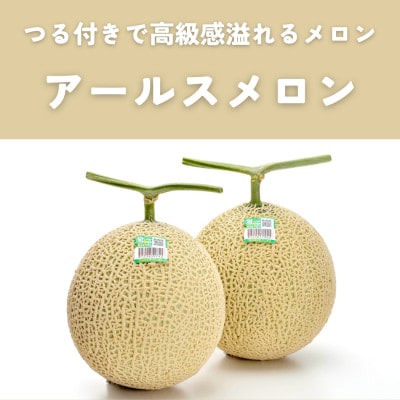 糖度13度以上!茨城県産 アールスメロン 2玉入り【先行受付　2026年9月下旬以降順次発送】【配送不可地域：離島・北海道・沖縄県・中国・四国・九州】【1686256】