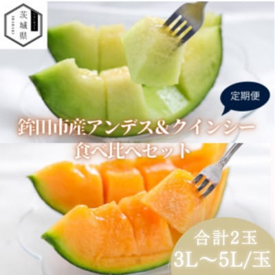 【発送月固定定期便】4月より発送予定 山一ファーム メロン食べ比べ(アンデスとクインシー)全2回【配送不可地域：離島・沖縄県】【4089274】