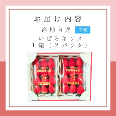 ç¹å¥æ œå¹èŸ²ç£ç© ãã°ãããã¹ 2ãã㯠èšåçãªãªãžãã«ãã©ã³ããã¡ããæå®ã®äŒ(濱éãã¡ãå)ããé
éäžå¯å°åïŒé¢å³¶ã»æ²çžçãã1710007ã