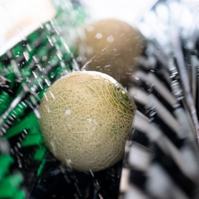 å³éžã¯ã€ã³ã·ãŒã¡ãã³ã3Lã2çãèµ€èãé
éäžå¯å°åïŒé¢å³¶ã»æ²çžçãã1644839ã