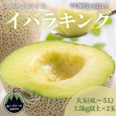 【先行受付】令和8年5月順次発送 茨城県オリジナル品種!! イバラキング 4L〜5L・2玉 数量限定【配送不可地域：離島・沖縄県】【1590736】