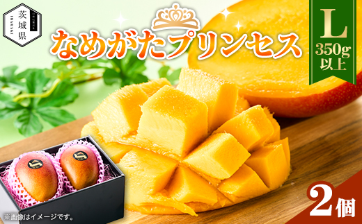 茨城県産 なめがたプリンセスマンゴーL【350g以上】2個【配送不可地域：離島・沖縄県】【1647820】