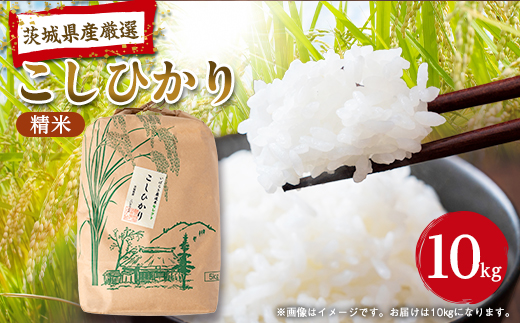 筑波山麓産米を中心に厳選した【茨城県産こしひかり】白米10kg 令和7年産【配送不可地域：離島・沖縄県】【1700082】