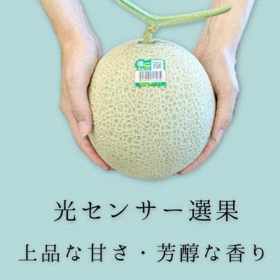 糖度13度以上!茨城県産 アールスメロン 2玉入り【先行受付　2026年9月上旬以降順次発送】【配送不可地域：離島・北海道・沖縄県・中国・四国・九州】【1686252】